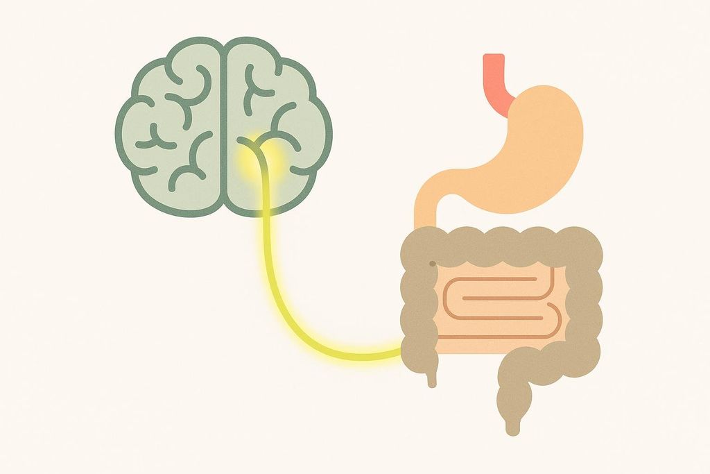 Simple diagram showing a glowing nerve connecting a brain icon to a stomach icon, representing the gut-brain axis.