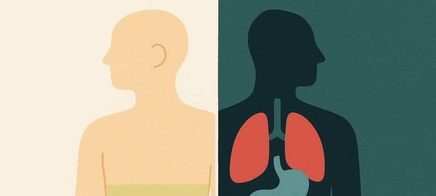 Split abstract illustration contrasting the outer layer of subcutaneous fat with the inner core of visceral fat.