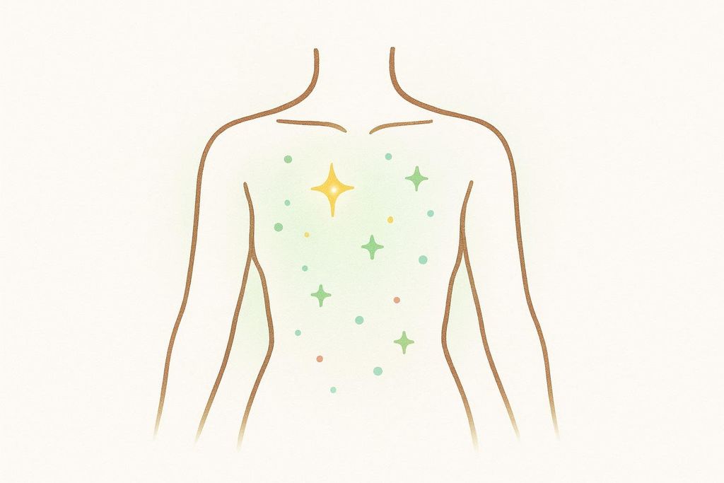 Clean line-art of a biological human torso prioritizing lean mass