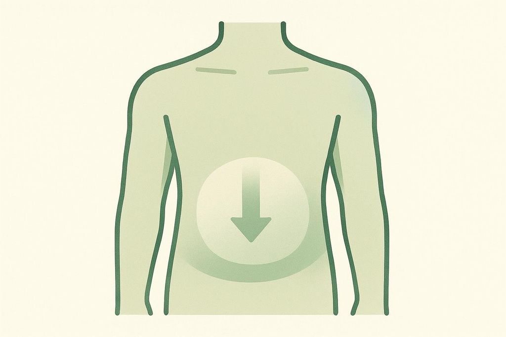 Abstract illustration showing conceptual reduction of visceral fat in the abdominal area with a downward arrow.