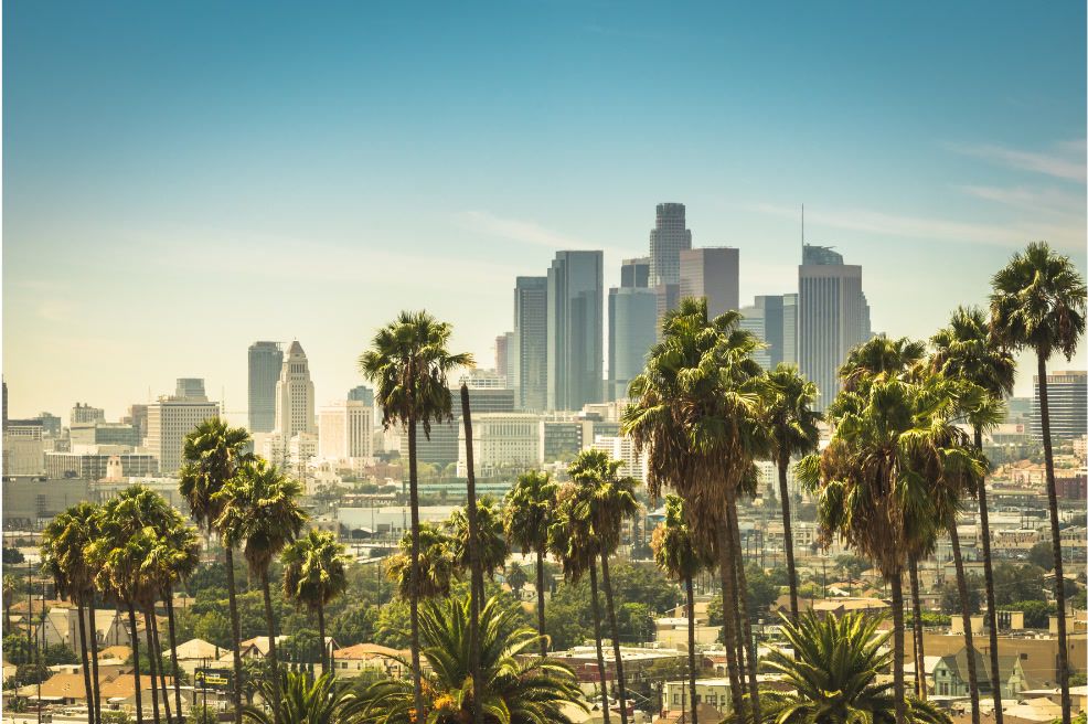 View of the Los Angeles skyline with palm trees in the foreground.