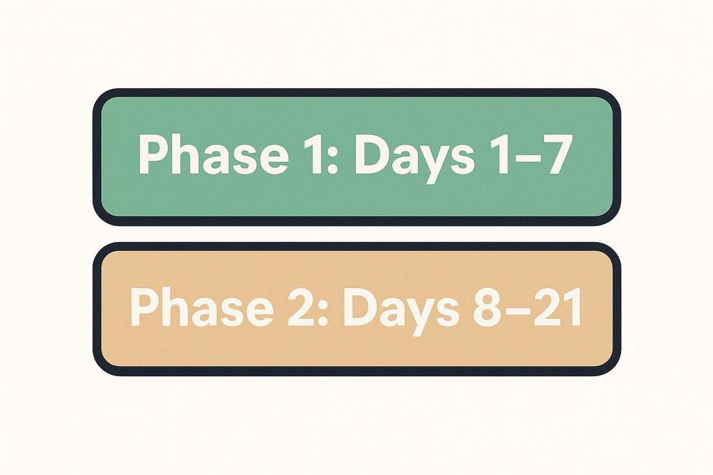 Two stacked horizontally oriented rounded rectangular bars. The top bar is green with white text reading "Phase 1: Days 1–7". The bottom bar is light orange with white text reading "Phase 2: Days 8–21".
