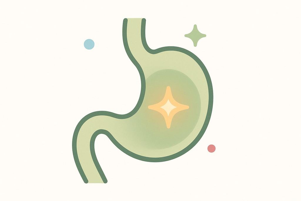 An icon of a green, healthy stomach with a bright yellow star inside it, representing gentle and optimal digestion. There are small blue and red dots and a star shape around it.