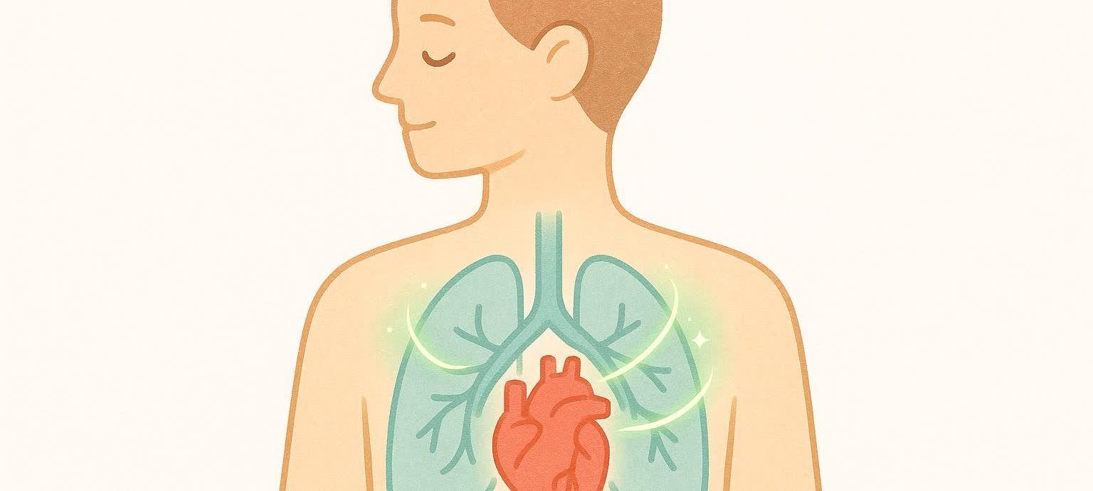 Illustration of a human figure with glowing heart and lungs, representing cardiovascular and respiratory recovery after COVID-19.