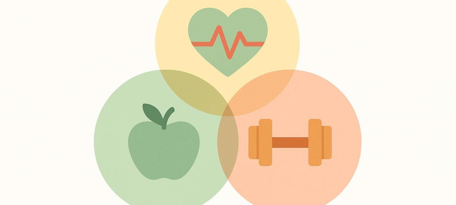 Three intersecting translucent circles, each containing a symbol of health. The top circle features a heart with a red heartbeat line, the bottom left has a green apple, and the bottom right has a gold dumbbell. They represent a holistic approach to health and wellness.