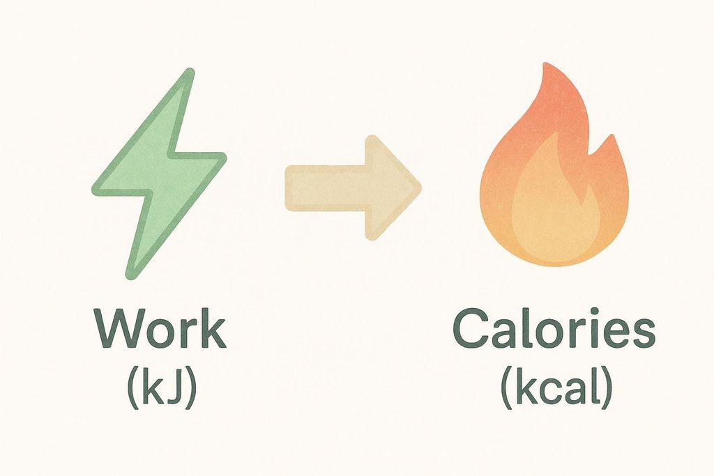 An icon visualizing the conversion of work (kilojoules) into calories (kilocalories). A green lightning bolt icon transitions via an arrow to an orange flame icon, with the terms 'Work (kJ)' and 'Calories (kcal)' respectively underneath.