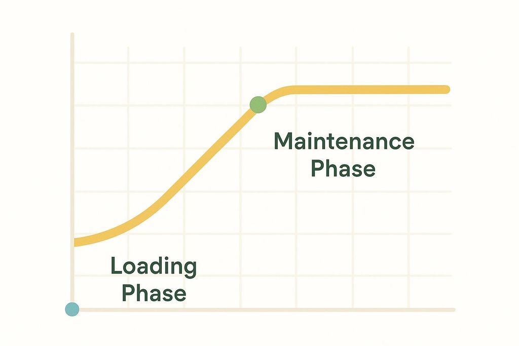 A graph with a yellow-orange line depicting a growth curve. The line rises steadily in a section labeled 'Loading Phase' and then flattens out in a section labeled 'Maintenance Phase'. Two green dots mark the beginning and end of the loading phase.