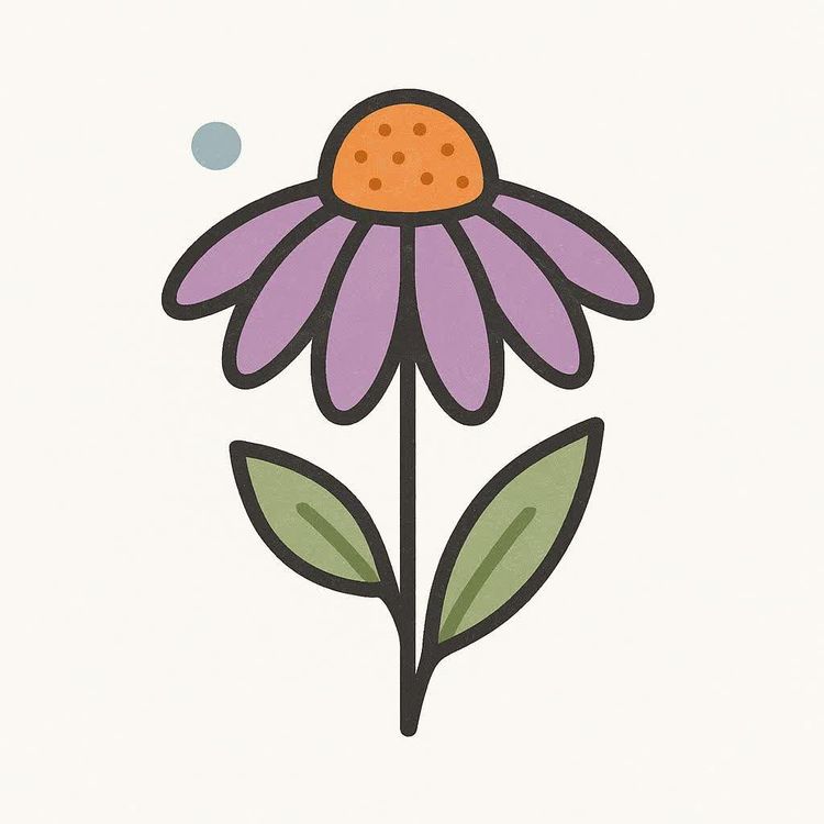 Simple graphic illustration of an echinacea flower