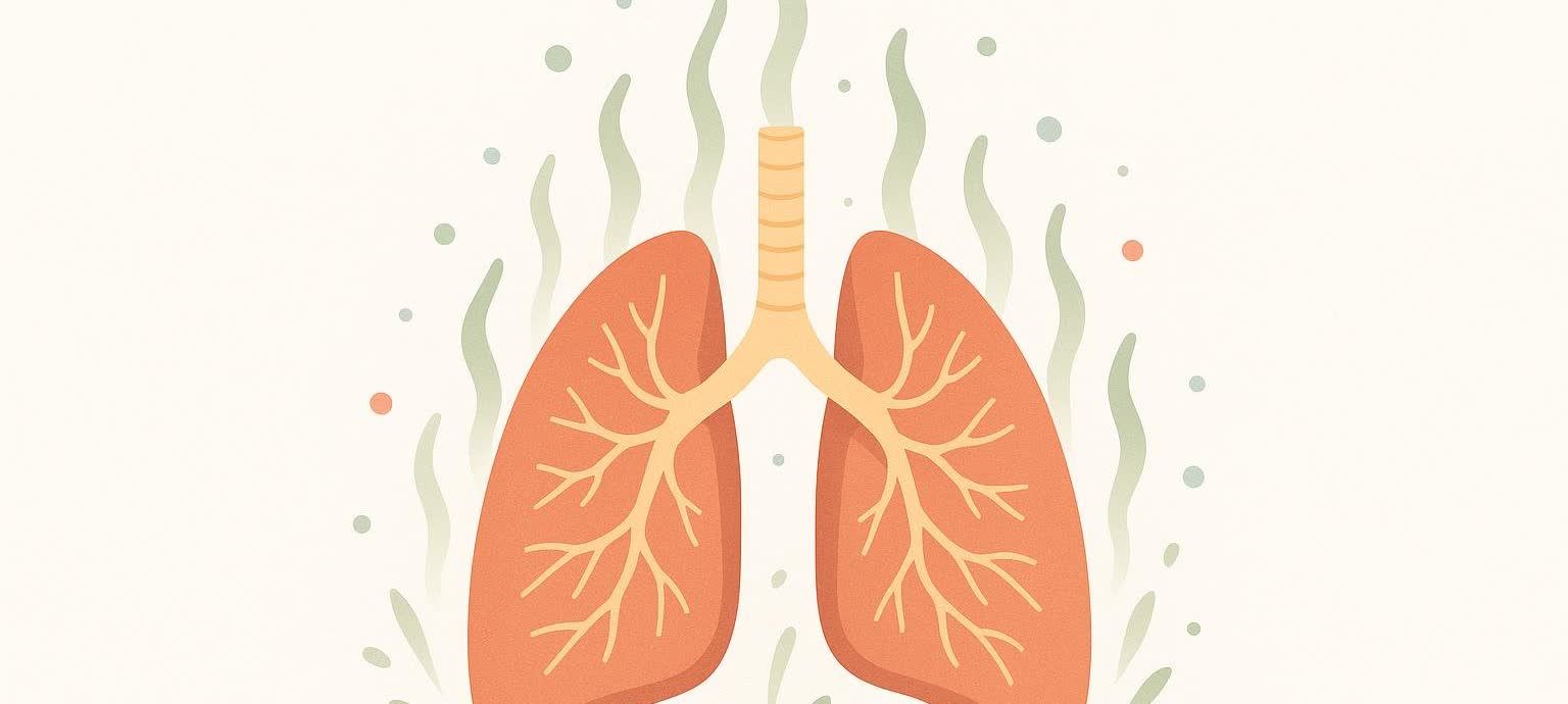 An illustration showing a pair of healthy human lungs connected to a trachea, surrounded by abstract green wisps and dots on a light background. The internal structure of the lungs, resembling tree branches, is visible.