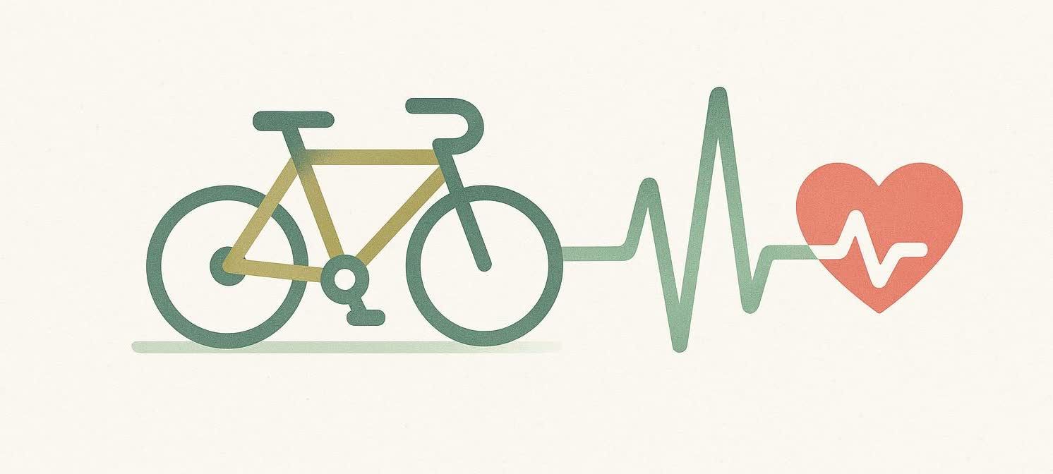 An illustration depicting a stylized bicycle icon transitioning into a healthy EKG heartbeat line which then forms a red heart, symbolizing the positive cardiovascular impact of cycling.