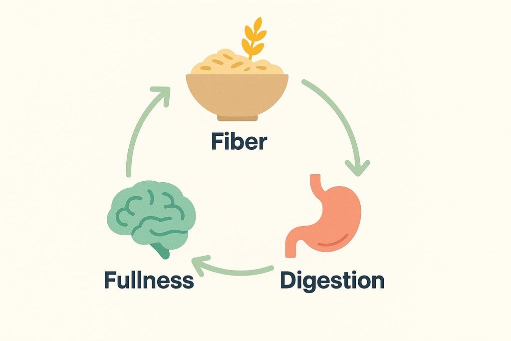 A flow chart illustrating the cycle of fiber leading to digestion, which in turn leads to a feeling of fullness. The chart shows a bowl of oatmeal representing 'Fiber' at the top, an anatomical stomach representing 'Digestion' on the bottom right, and a stylized brain representing 'Fullness' on the bottom left. Green arrows connect them in a clockwise direction.