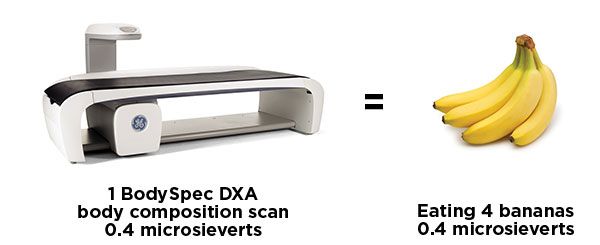 An image comparing the radiation exposure of a BodySpec DXA scan (0.4 microsieverts) to eating 4 bananas (0.4 microsieverts).