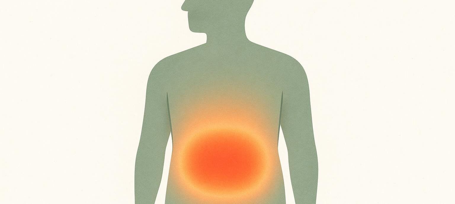 Medical illustration of a human torso with a bright red-orange heatmap over the abdomen, representing visceral fat.