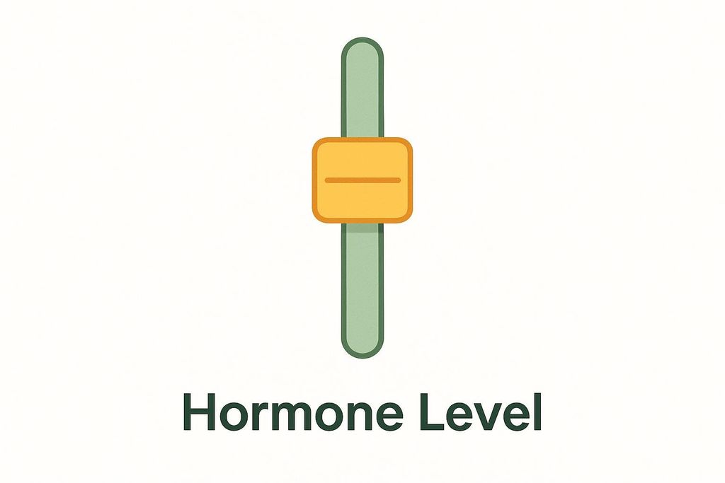 An illustration of a vertical green fader with a yellow slider set in the middle, representing a balanced hormone level. Below the fader, the words "Hormone Level" are written in a dark green font.