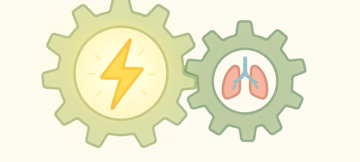 Illustration of interlocking gears with lung and lightning bolt icons, representing the aerobic and anaerobic systems stimulated by Tabata.