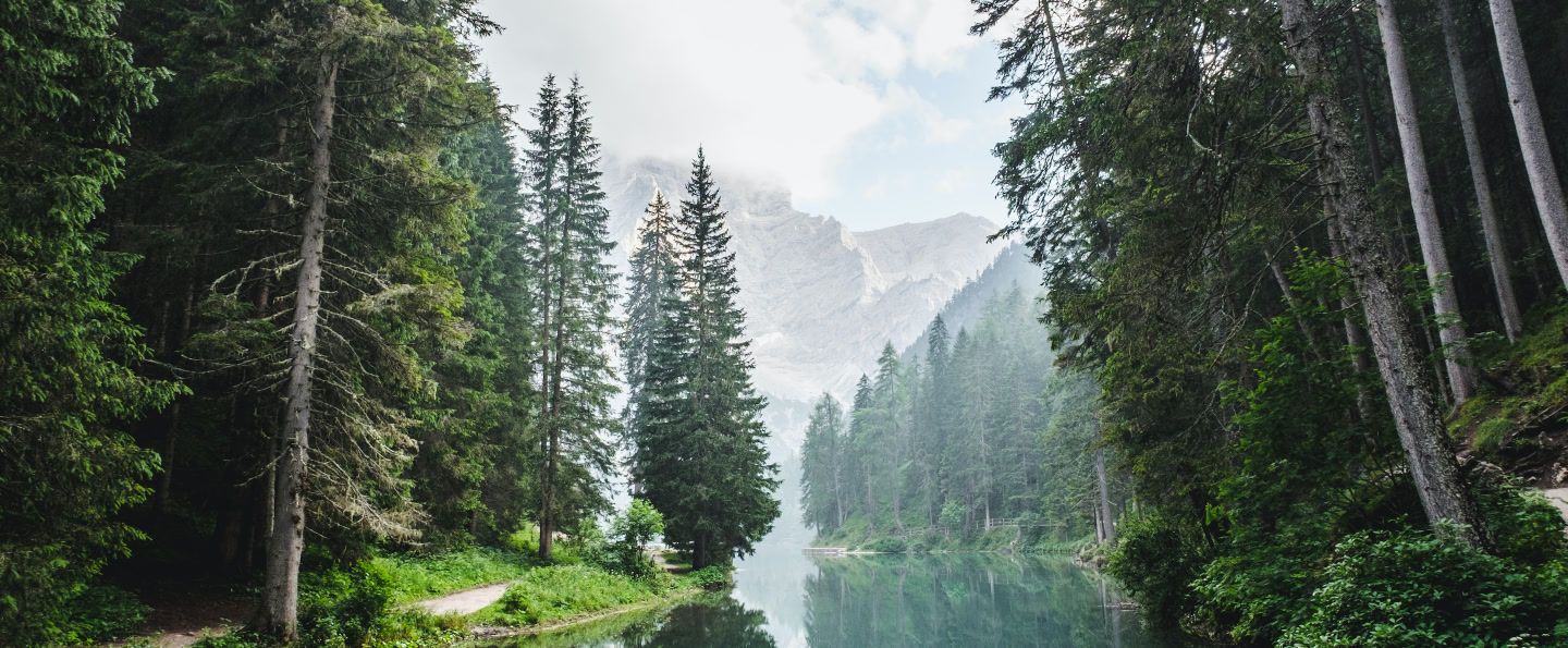 A pine forest lines a calm lake, with a path visible on the left. In the distance, misty mountains rise above the trees.