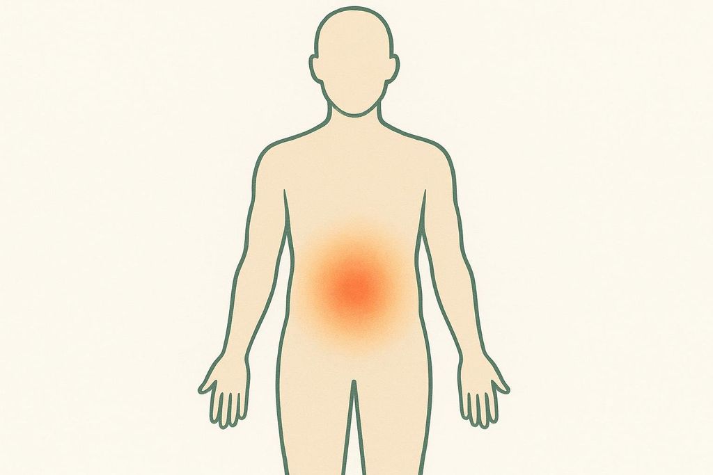 A simplified diagram of a human torso with a reddish-orange glow in the abdominal area, indicating the location of visceral fat.