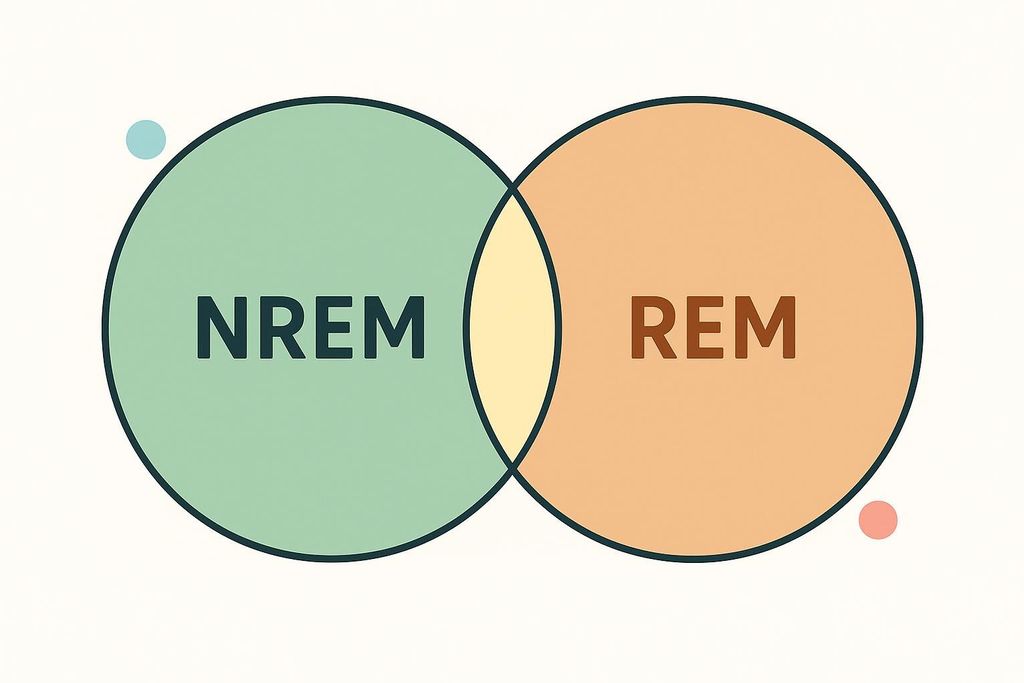 A Venn diagram showing two overlapping circles. The left circle, labeled 'NREM' in green, represents Non-Rapid Eye Movement sleep. The right circle, labeled 'REM' in orange, represents Rapid Eye Movement sleep. The overlapping center section is yellow.