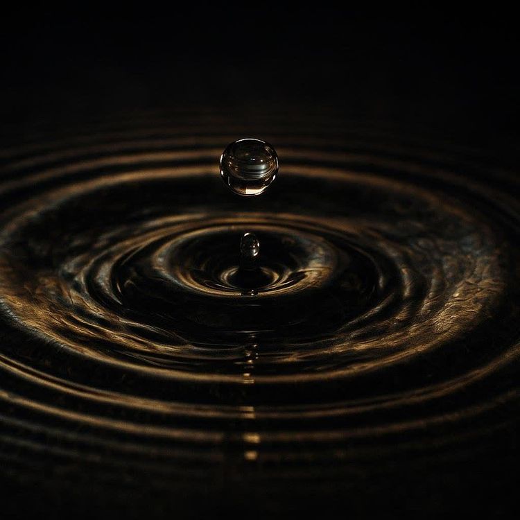 A close-up, high-speed photograph capturing a single water droplet suspended just above a dark, still surface, creating clear, concentric ripples that reflect golden light.