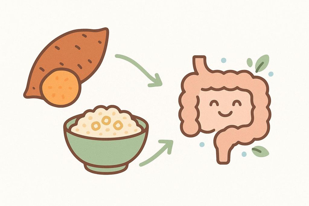 An illustration showing a sweet potato and a bowl of oats, with arrows pointing to a smiling, healthy-looking gut, signifying that these fiber-rich foods nourish gut bacteria.
