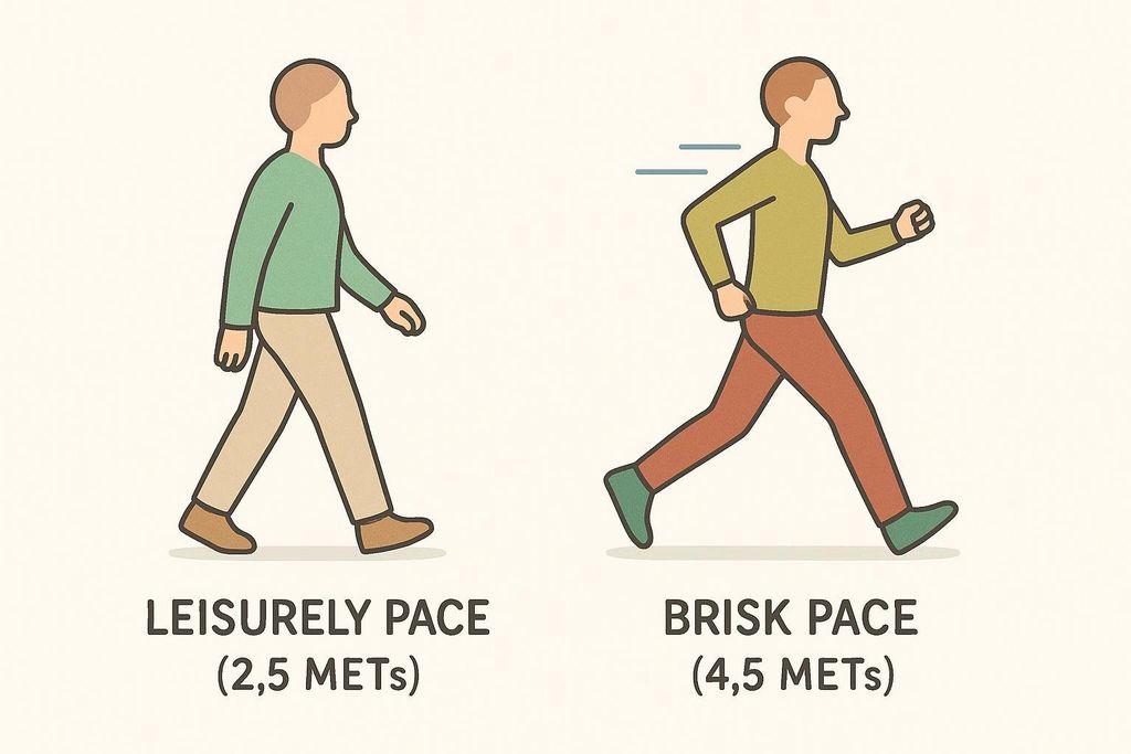 Illustration comparing a figure walking at a leisurely pace (2.5 METs) to a figure walking at a brisk pace (4.5 METs).