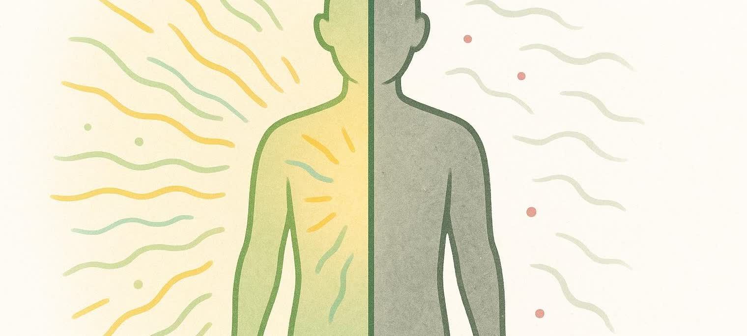An illustration showing a human figure. The left half is depicted as vibrant and healthy with warm, energetic colors and radiating lines. The right half is grey and fatigued, with subtle dull colors and wavy lines, symbolizing the contrasting effects of nutrition on the body.