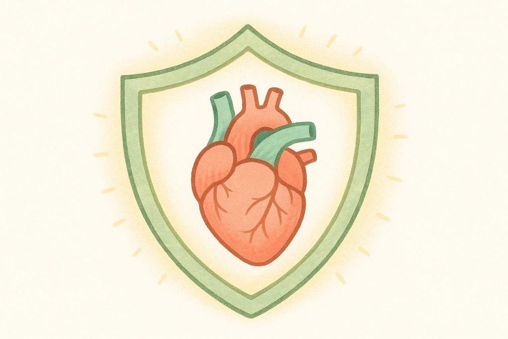 An illustration of a stylized human heart, colored red and green, encased within a light green shield. The shield appears to glow with subtle yellow rays emanating outwards, suggesting protection and health.