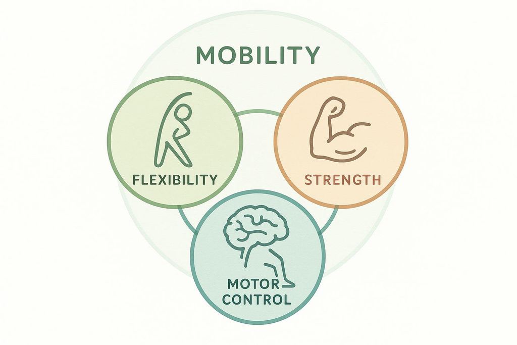 A Venn diagram illustrating that mobility is an umbrella concept encompassing flexibility, strength, and motor control, with each represented by an icon.
