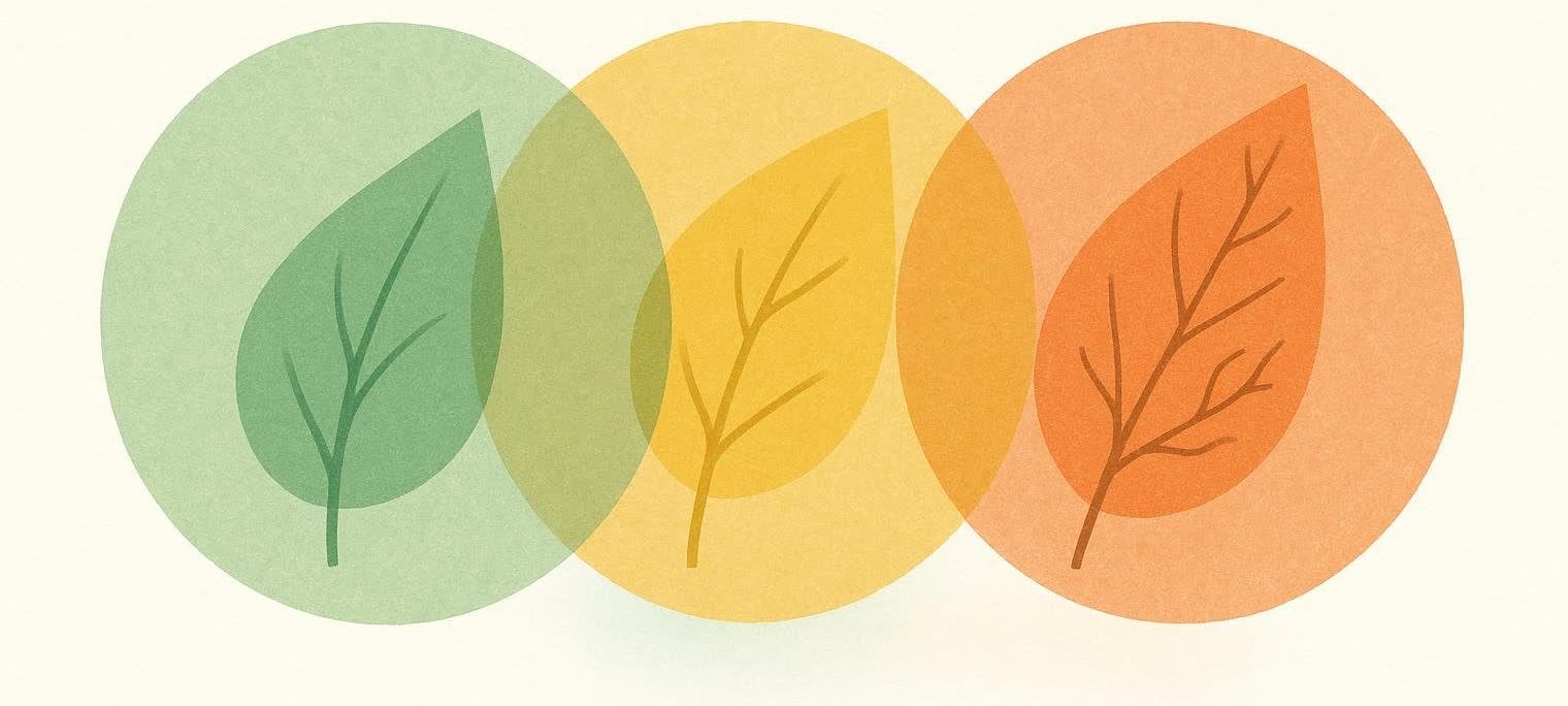 An abstract illustration showing three circles, each containing a leaf. The leaves signify the transition of autumn, from green to yellow to orange.