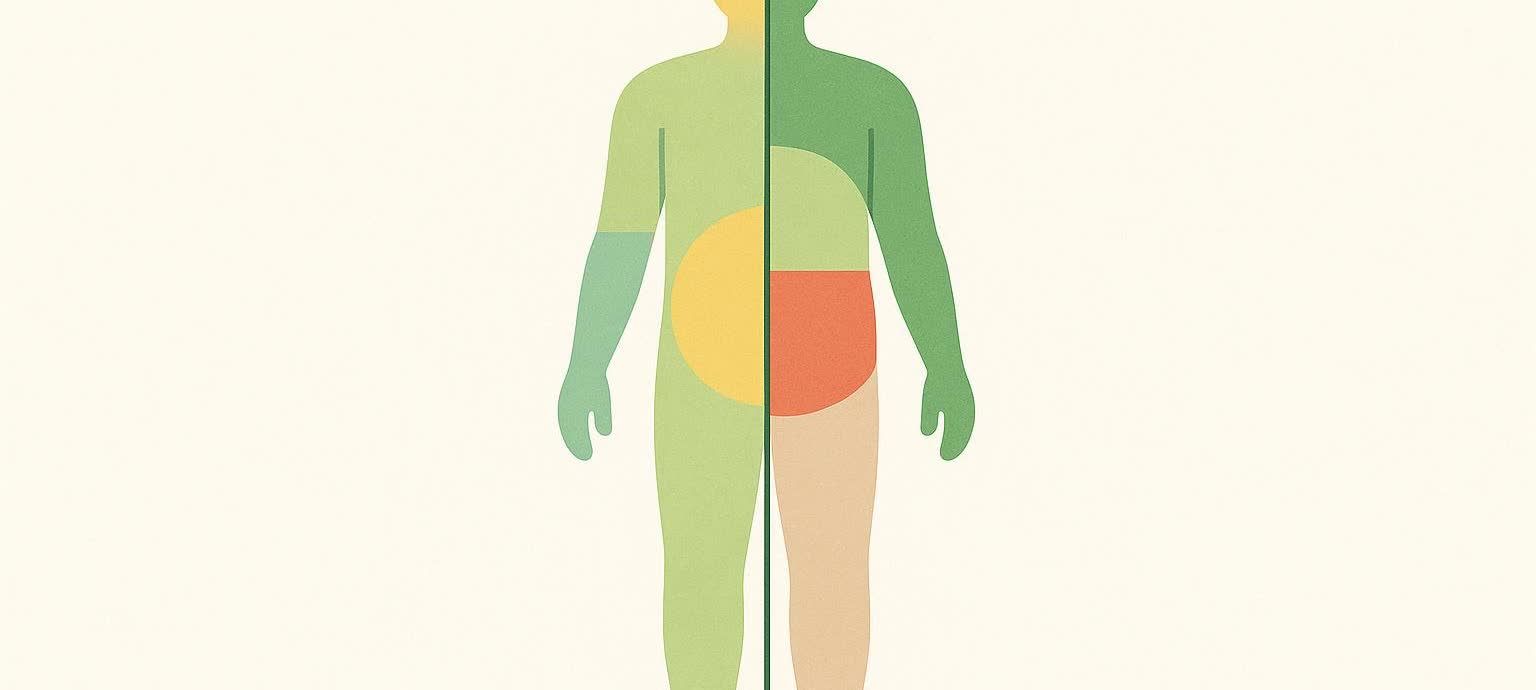 An abstract illustration of the human body, divided vertically down the center. The left side of the body is largely light green, with a dark green arm and a large yellow circle on the torso. The right side is largely dark green, with a light green arm, a red-orange shape on the torso, and a tan leg. A dark green vertical line separates the two halves.