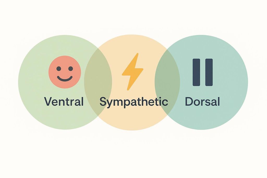 An illustration showing three overlapping circles representing the Polyvagal Theory states: Ventral (smiley face), Sympathetic (lightning bolt), and Dorsal (pause symbol). The circles are colored light green, yellow, and light blue.