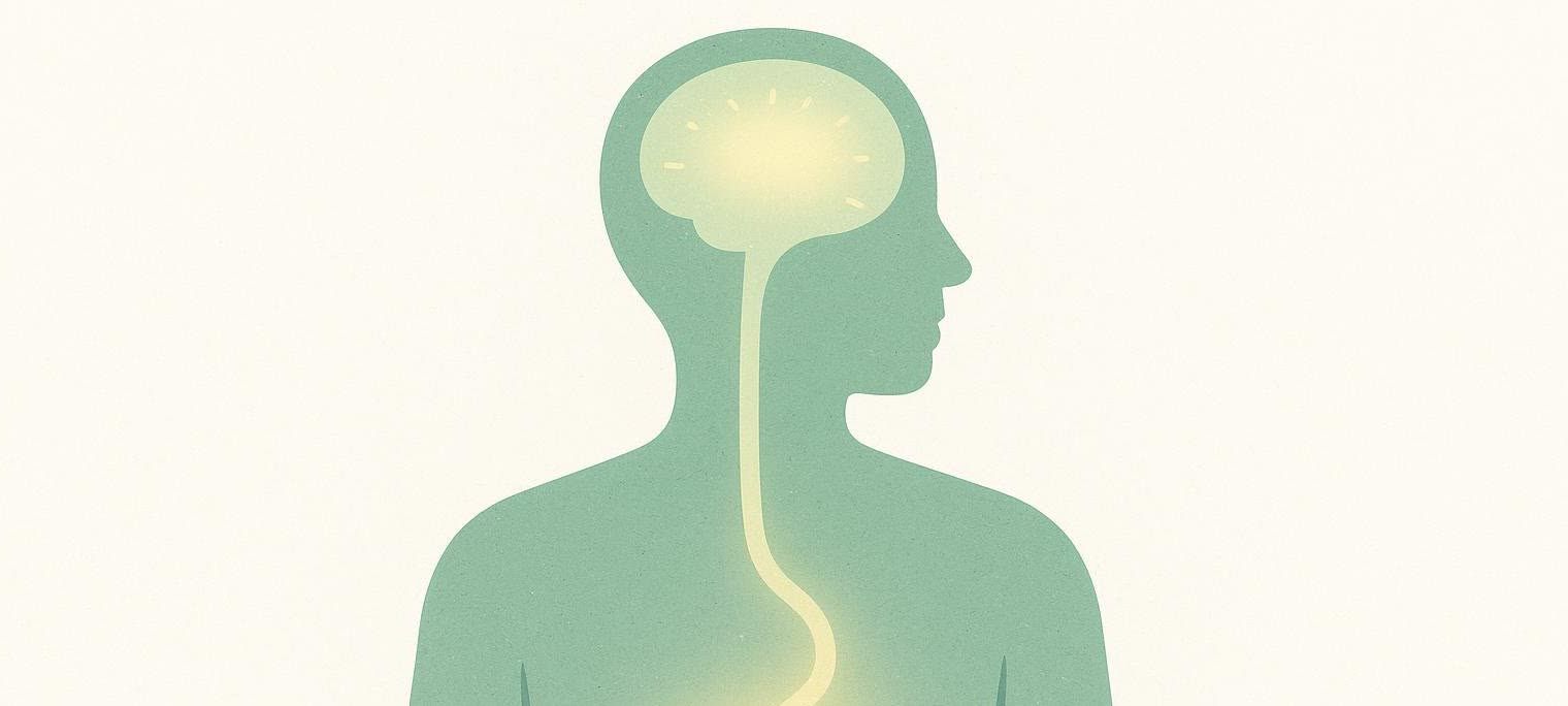 Illustration showing how Rybelsus works by sending a signal from the stomach to the brain to indicate fullness and reduce appetite. A light green silhouette of a person facing right, with a bright yellow brain and a glowing path connecting it to a bright yellow stomach area.