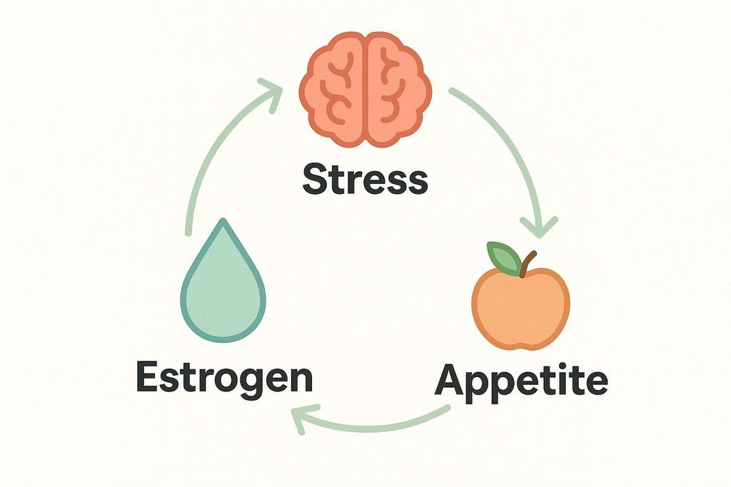A diagram illustrating the cyclical relationship between stress, estrogen, and appetite. An icon of a brain represents stress, a teardrop represents estrogen, and an apple represents appetite. Arrows show a clockwise flow from stress to appetite, then to estrogen, and finally back to stress.