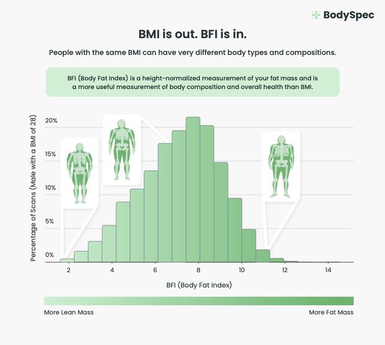 A histogram showing the distribution of Body Fat Index (BFI) for males with a BMI of 28. The chart demonstrates that individuals with the same BMI can have varying body compositions, ranging from more lean mass to more fat mass, highlighting that BFI is a more useful metric than BMI.