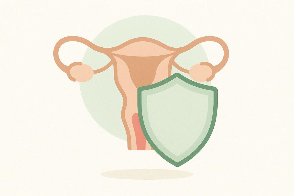 An illustration of a shield protecting a uterus, symbolizing how progestogen protects the uterine lining during hormone therapy.