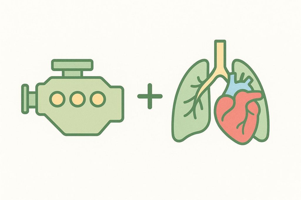 An illustration comparing a green car engine to a human heart and lungs, with a plus sign in between, representing the body's engine for endurance.