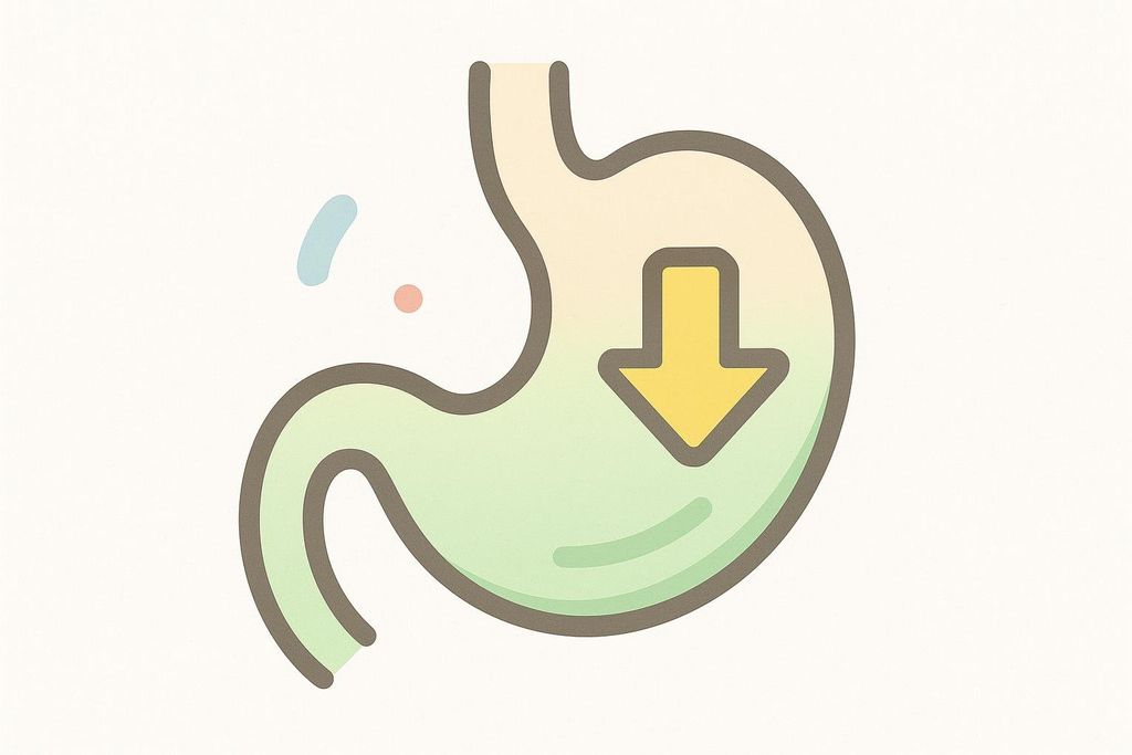 Stylized stomach icon illustrating the concept of appetite suppression with Ozempic, depicted by a downward arrow inside the stomach.