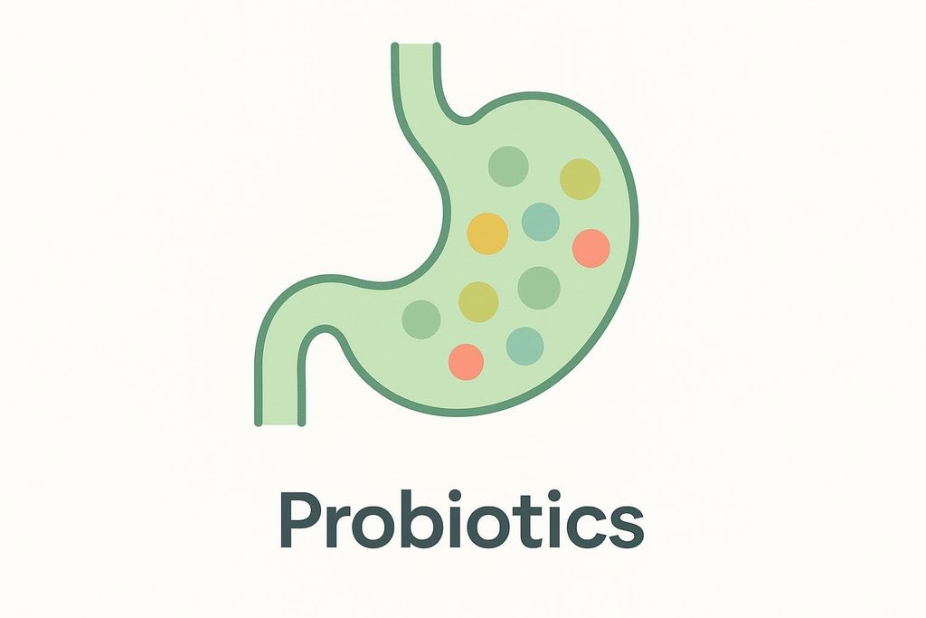 An illustrated diagram of a stomach filled with colorful probiotic organisms, with the word 'Probiotics' written below.