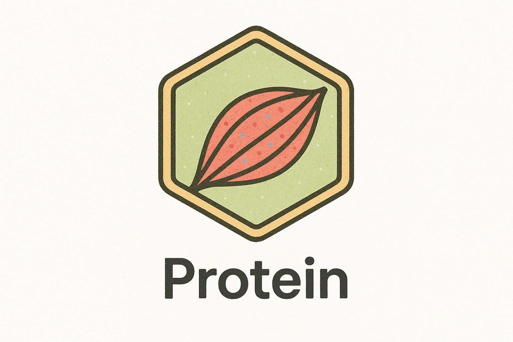A hexagonal badge featuring a stylized icon of a muscle fiber, with the word 'Protein' written below it.