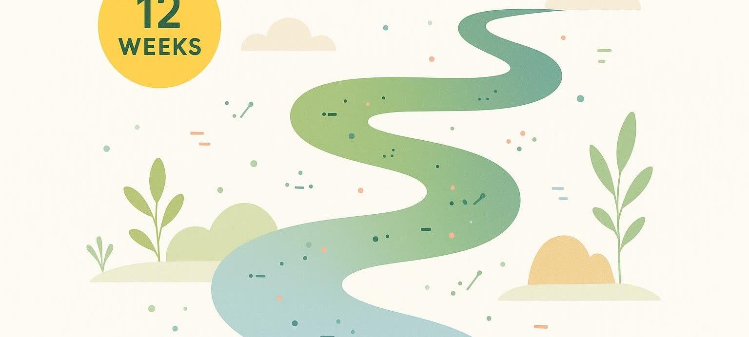 Illustrated 12-week journey path with three phases for a weight loss plan, depicted as a winding river.