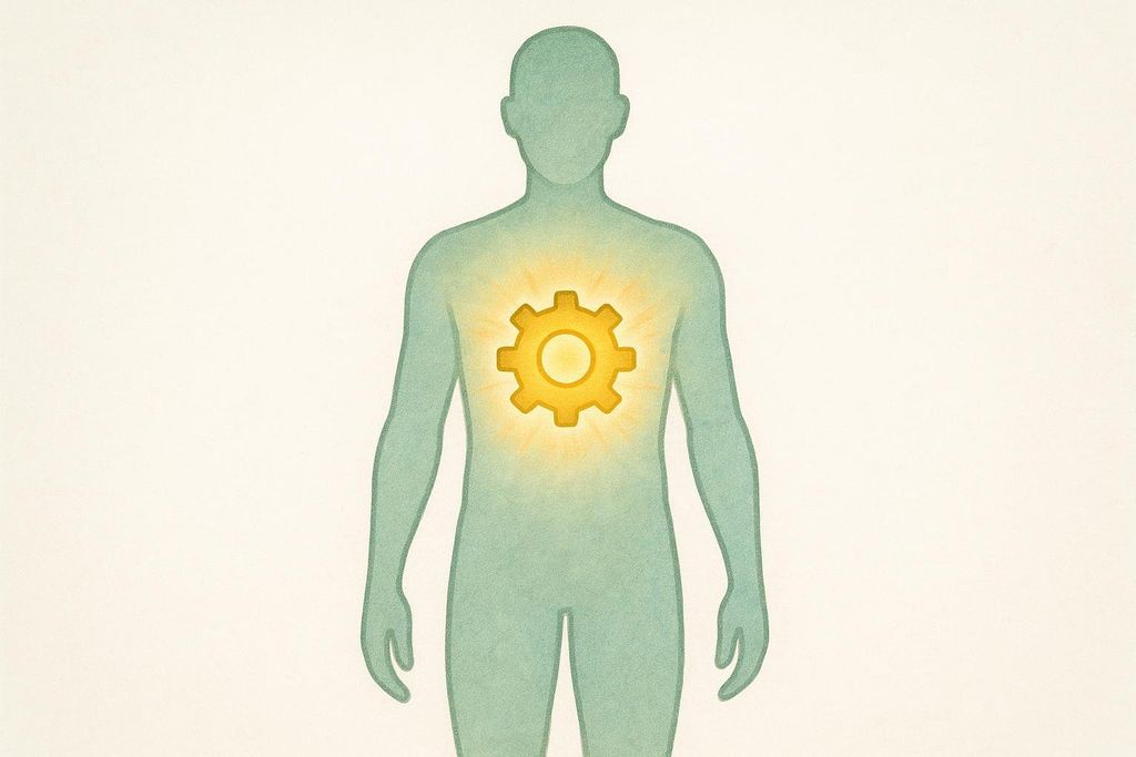 A stylized human silhouette in teal with a glowing golden gear icon in the chest area, representing metabolism or inner workings.