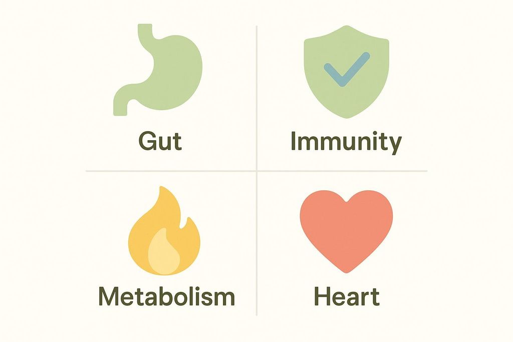 A four-grid diagram with icons and text: top left is a green stomach icon with 'Gut', top right is a green shield with a checkmark and 'Immunity', bottom left is an orange flame icon with 'Metabolism', and bottom right is a red heart icon with 'Heart'.