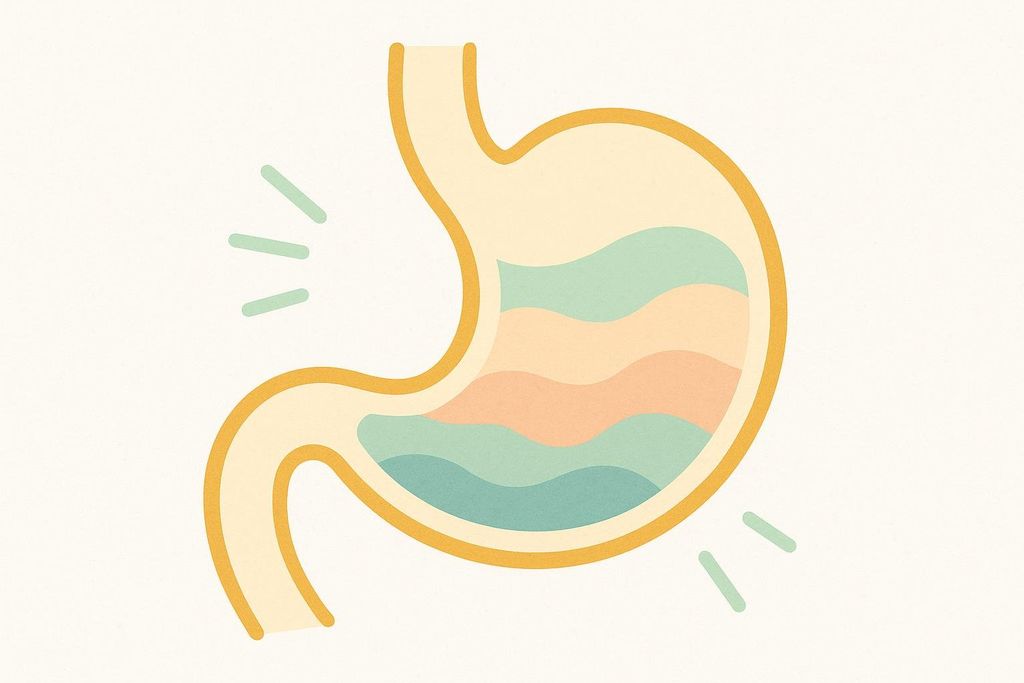 An abstract illustration of a stomach with gentle wavy lines inside, representing mild to moderate gastrointestinal side effects.