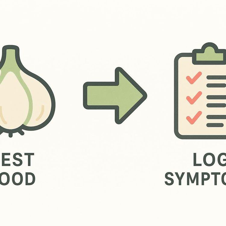Stylized icons of a grocery bag with slash, test tube, and heart plate connected by arrows with caption 3 Phases.