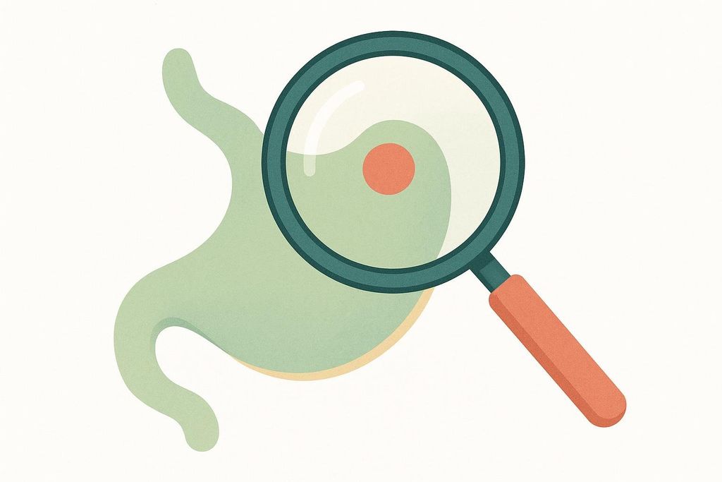 An illustration of a magnifying glass over a stomach shape, symbolizing examination or concern for a health issue.