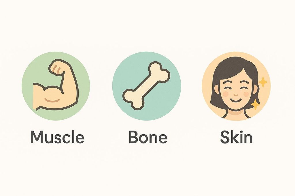 Three circular icons on a light background. From left to right: a green circle with a flexing arm representing muscle, a light blue circle with a bone representing bone, and a peach circle with a smiling face and sparkles representing healthy skin. Each icon has its corresponding word 'Muscle', 'Bone', and 'Skin' written below it.