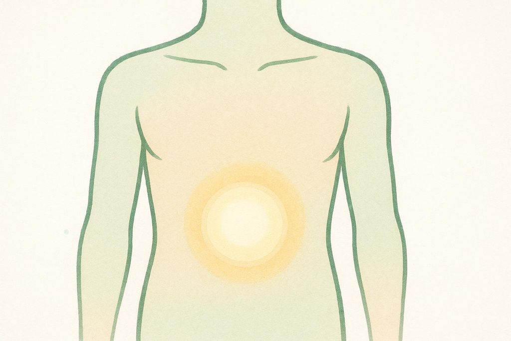 An illustration of a human torso with a glowing, bright yellow-orange circle in the abdominal area, suggesting good gut health or energy flow. The torso is outlined in green, with light green shading, against a cream background.