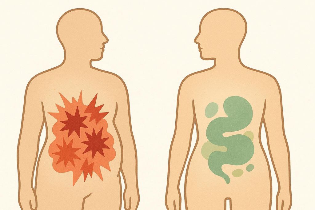 An illustration comparing an unbalanced gut with inflammation and a larger waistline versus a balanced gut promoting healthier body composition.