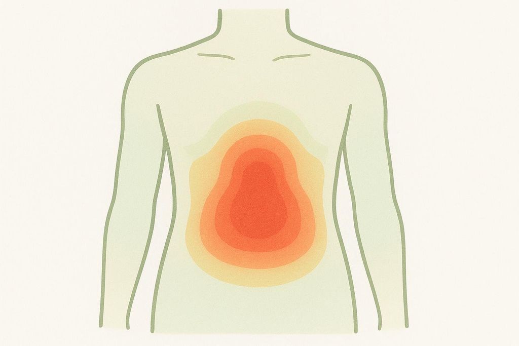 Stylized heat map illustration visualizing visceral fat distribution within a human torso. The heat map is centered on the abdomen, with the hottest area in the center tapering out to cooler areas surrounding it.