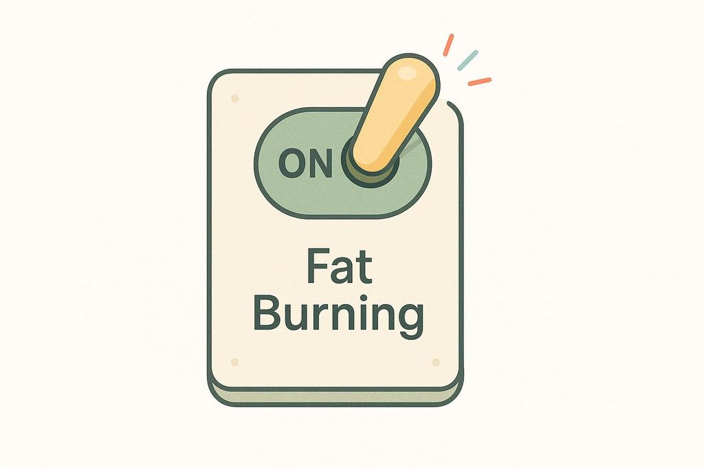 A metabolic switch flipped to the fat burning position